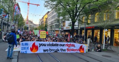 Die “Fridays for Future” sind Vergangenheit – der Wandel der Schweizer Klimabewegung